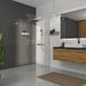 Нерухома стінка Walk-IN 900х2000мм chrome, скло 8мм clear 2584170303 фото 1